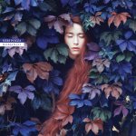 Dentro soffia il vento di Francesca Diotallevi