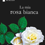 La mia rosa bianca di Suajens Miazzo