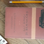 Gli amici di Bernhard di Annemarie Schwarzenbach